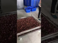 ماشینی از براق سیم فولاد ضد زنگ برای خشک کردن