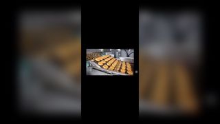 نردبان اجاق گاز پیتزا استیل ضد زنگ نوار نقاله مسطح مشبک تسمه فلکس برای روکش شکلاتی،